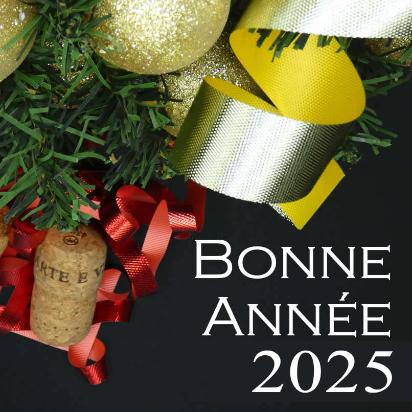 Texte de voeux de bonne année 2025 avec décoration colorée